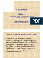 Tema 3 Bases Moleculares e Historia Naturalcancer