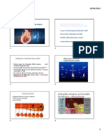 Aula - Alunos - Marcadores Cardíacos