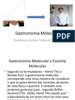 Gastronomia Molecular Aula