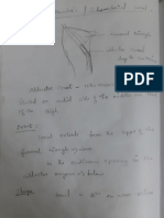 Adductor Canal