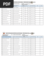 Formatos para PVL