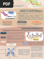 Infografía Adn