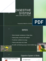 Digestive System: Birds, Sharks and Bony Fishes