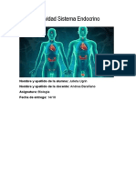 Actividad Sistema Endocrino