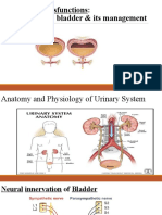 Voiding Dysfunctions