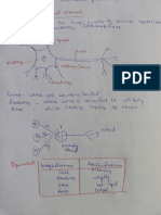 Soft Computing Assignmemt1