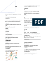 C5 Skeletal Notes