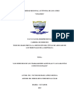 Derechos Agricolas TUIAB039-2013