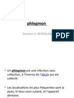 PHLEGMON 