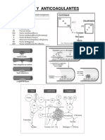 Coagulantes y Anticoagulantes