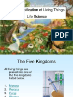 Classification of Living Things