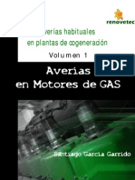 Averias en Motores de Gas Vol1