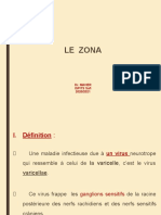 Le Zona