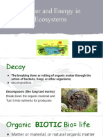 Matter and Energy in Ecosystems