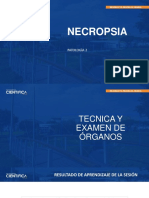 Patología Veterinaria Ii-Mvz601 - Sem-02 - 2022-2