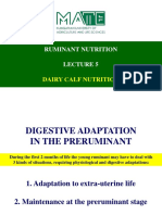 PDF Dairy Calf Nutrition