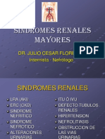 Abordaje Del Paciente Con Enf Renal Ii