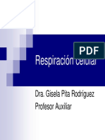 Respiración Celular: Dra. Gisela Pita Rodríguez Profesor Auxiliar