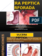 UP Perforada.F