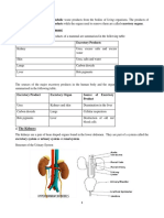 Excretion: The Kidneys