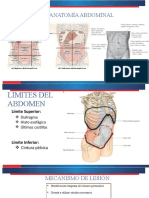 Grupo 7 - Diagnóstico Trauma de Abdomen