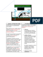 Primero, de Abajo Hacia Arriba. de Adelante Hacia Atrás