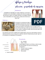 Periodoncia: Periodonto