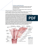 Generalidades Del Sistema Genital Femenino