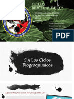 Ciclos Biogeoquimicos: Ingenieria Del Medio Ambiente Docente: Ing. Rodolfo Ayllon Grupo 6 Nombres