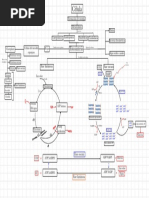 Esquema Fotosíntesis