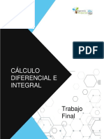 Cálculo Diferencial E Integral: Trabajo Final