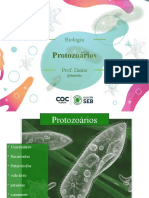 Protozoários 