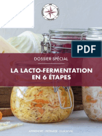 La Lacto-Fermentation en 6 Étapes: Dossier Spécial