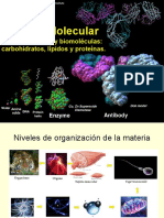 Biomoleculas