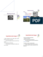 Aula Citologia de Fungos e Drogas Anti-Fungicas