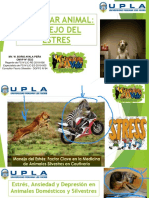 Upo Pract-Estres PDF