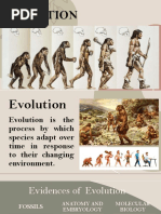 Evolution Review