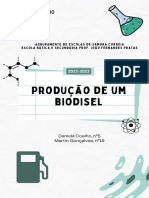 Química 12ºano: Produção de Um Biodisel