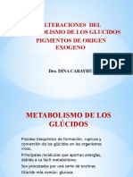 Alteraciones Del Metabolismo de Los Glucidos Pigmentos de Origen Exogeno