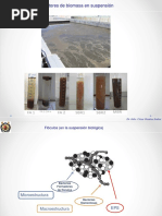 Clasificación de Tratamientos Biológicos y Tipos de Reactores