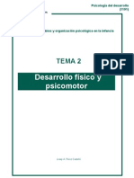 Desarrollo Psicomotor