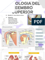 Semiologia Del Miembro Superior