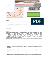 Aparato Respiratorio Estructura