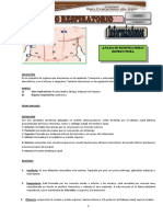 Aparato Respiratorio Estructura