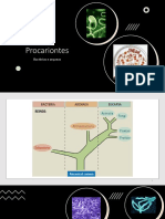 Capítulo 14 - Procariontes