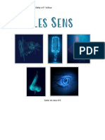 Document 16 - Les Sens