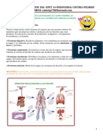 5to Trabajo Práctico