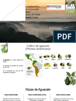 Consultorio Socio Ambiental y Agropecuario Del Nororiente Colombiano Universidad Francisco de Paula Santander, Seccional Ocaña