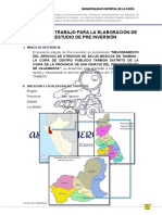 Plan de Trabajo para La Elaboración de Estudio de Pre Inversión