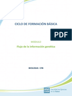 Ciclo de Formación Básica